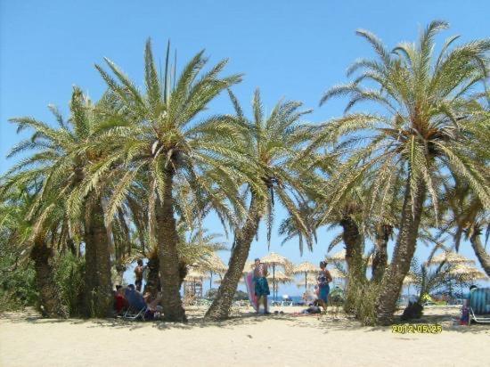 Terrace House Apartment Sitia  Bagian luar foto